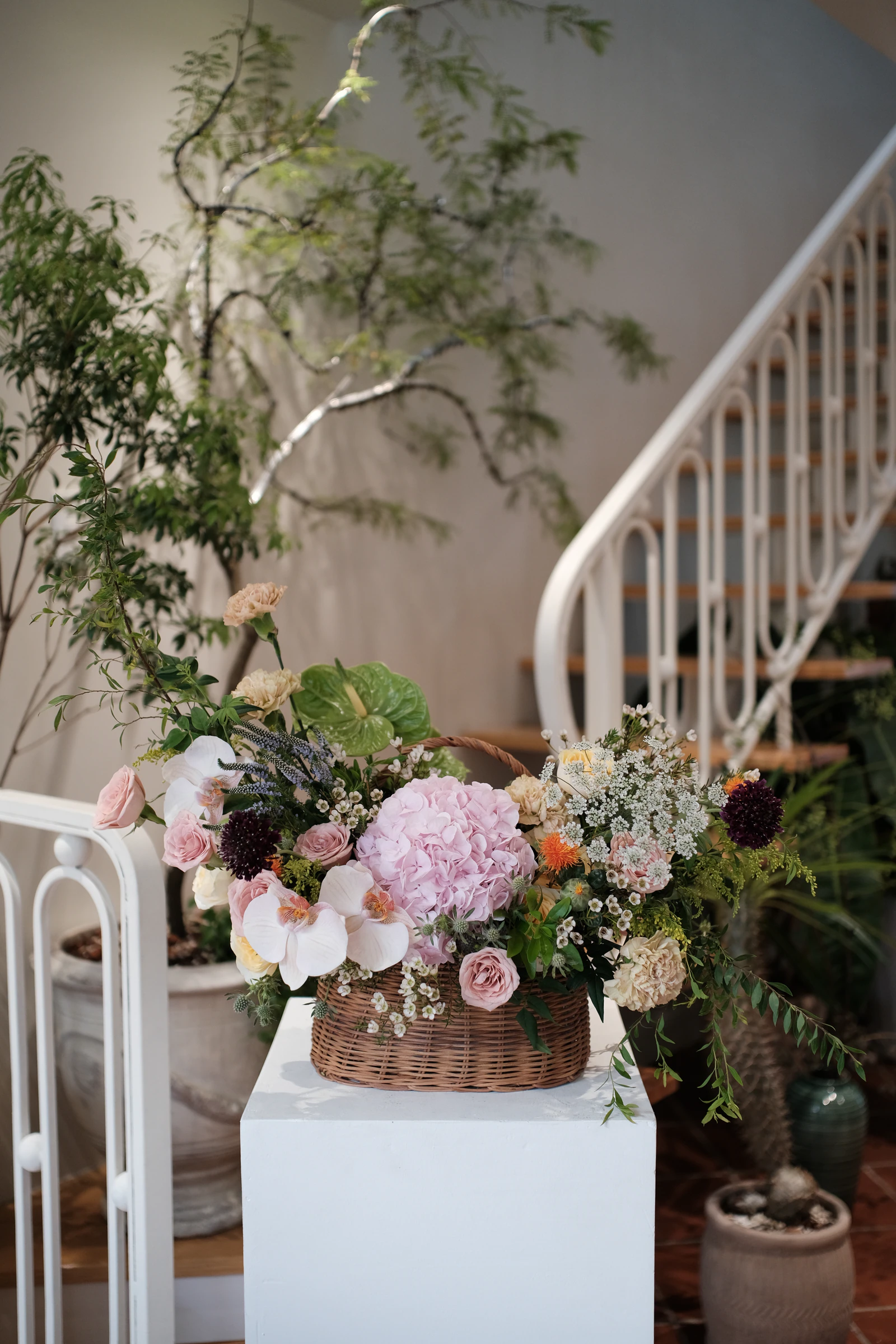 Blush Cascade